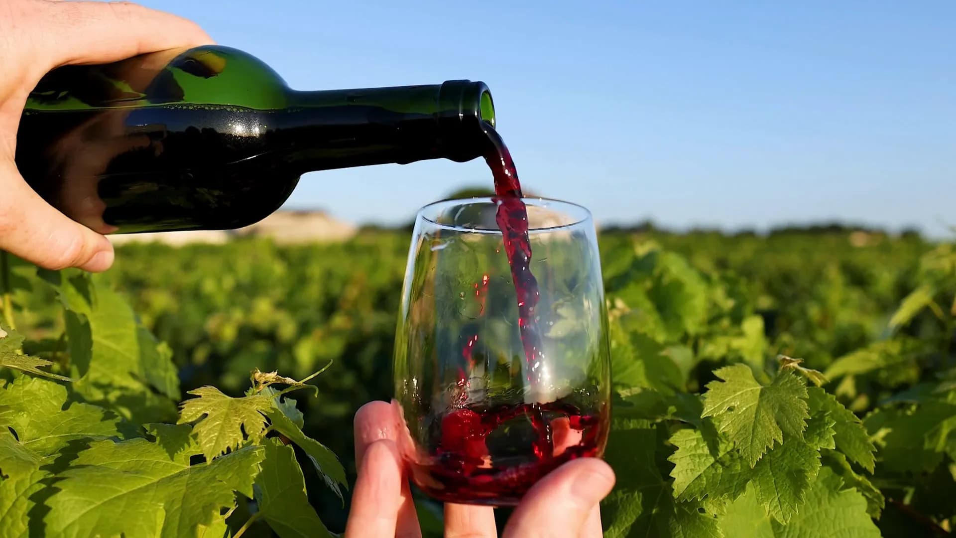 Vinho da vinícola nos arredores de Santiago